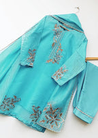 Elegance Touch 3 Piece Embroidered Organza Suit