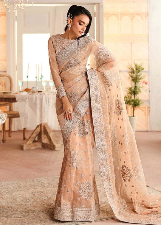 Maria B Embroidered Net Saree