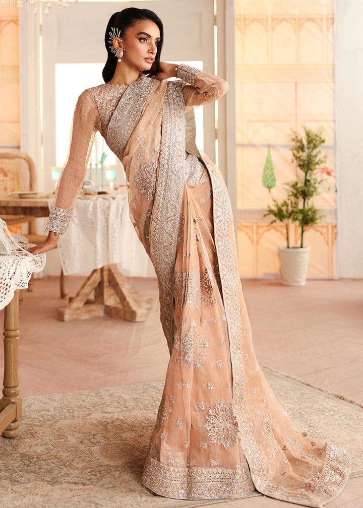 Maria B Embroidered Net Saree