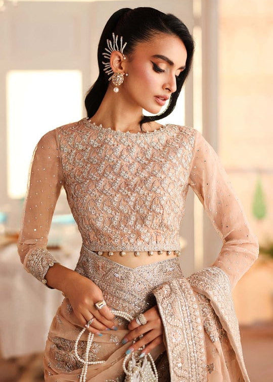 Maria B Embroidered Net Saree